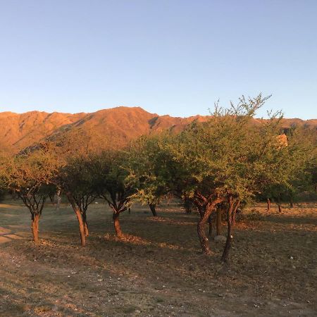 Cabanas Chacras Del Arroyo Vidal Carpintería 외부 사진