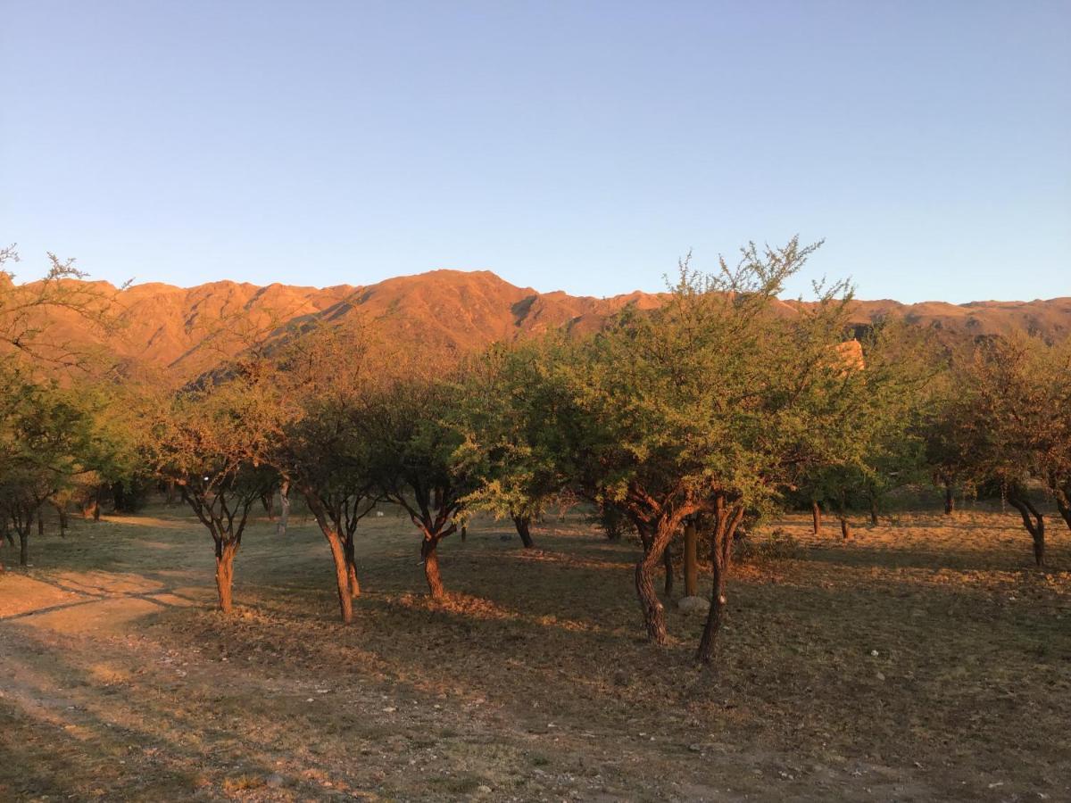 Cabanas Chacras Del Arroyo Vidal Carpintería 외부 사진