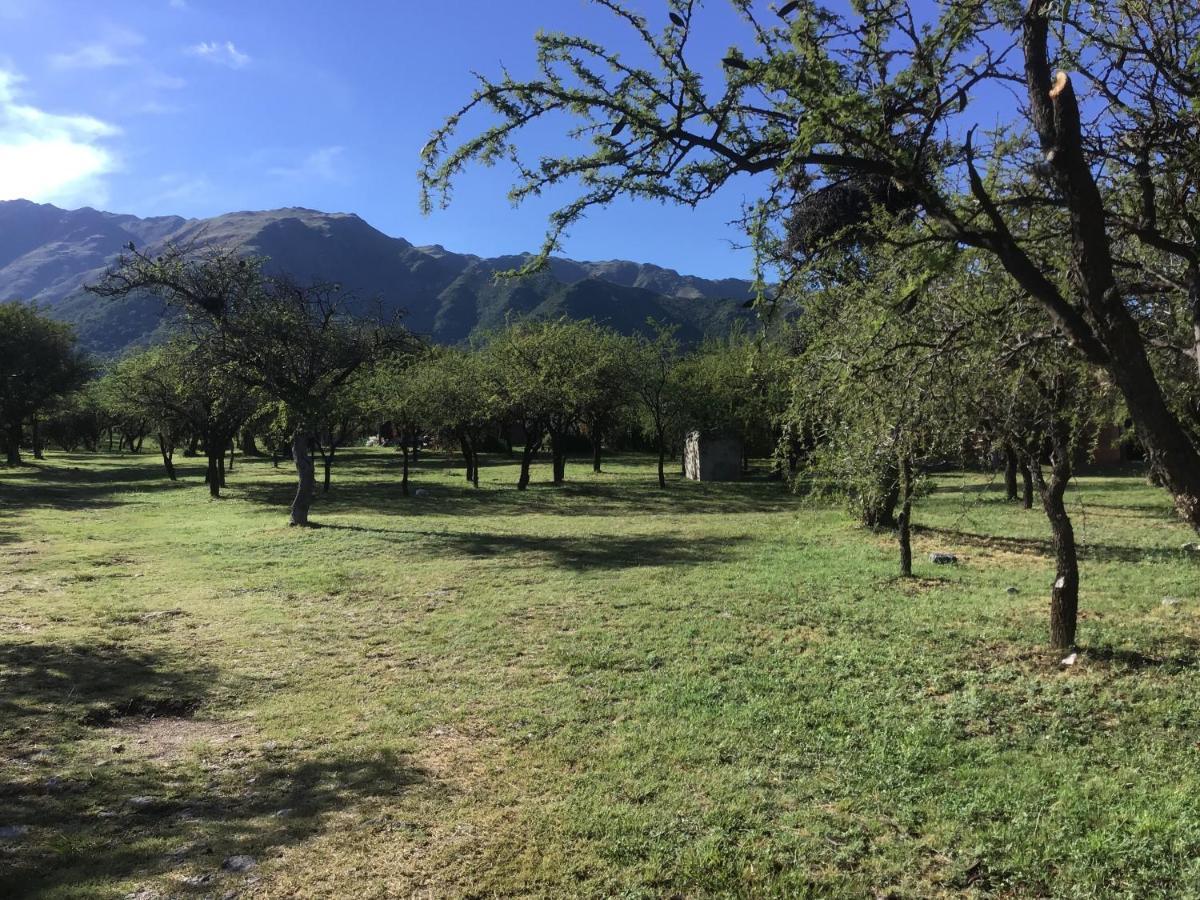 Cabanas Chacras Del Arroyo Vidal Carpintería 외부 사진