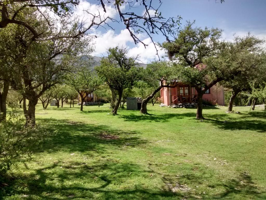 Cabanas Chacras Del Arroyo Vidal Carpintería 외부 사진