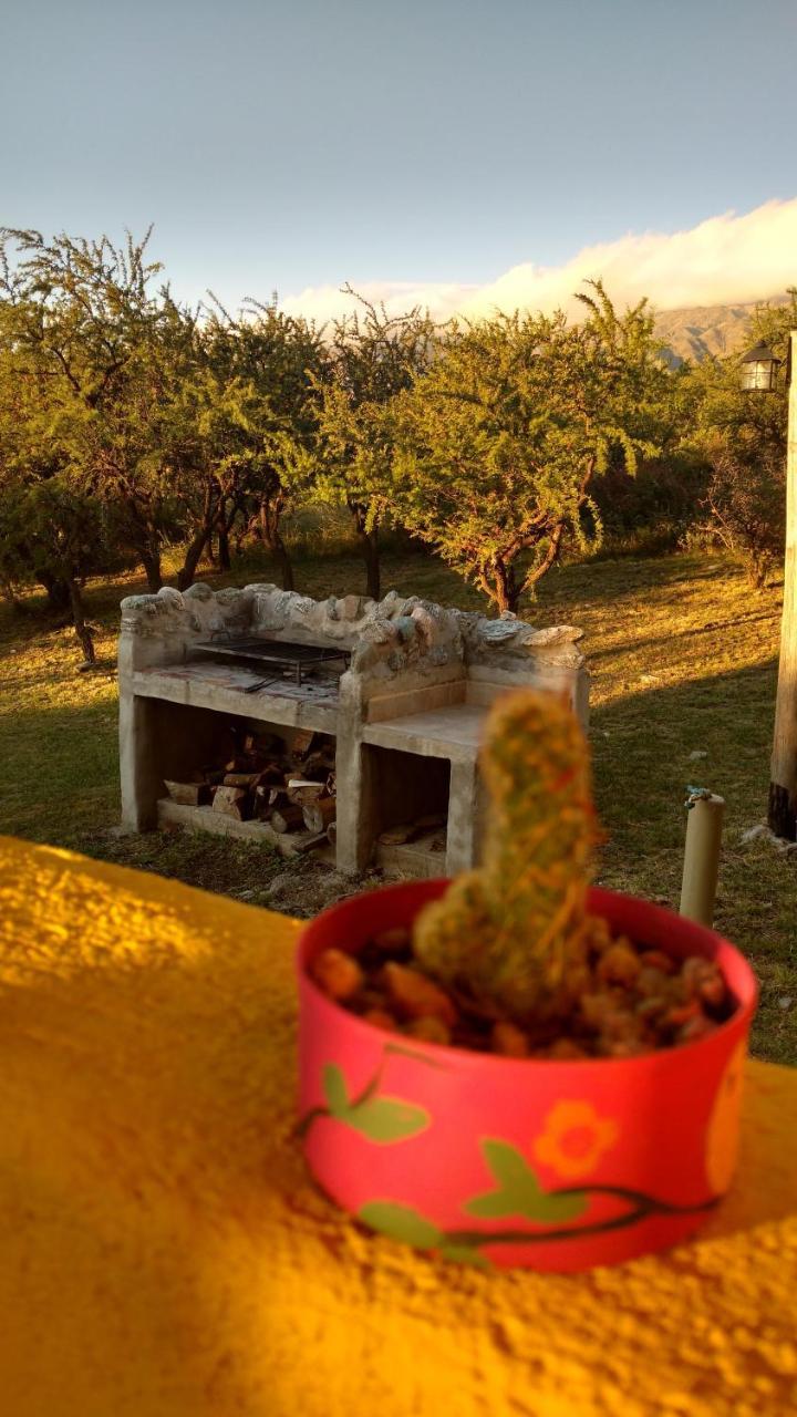 Cabanas Chacras Del Arroyo Vidal Carpintería 외부 사진