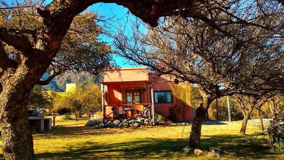 Cabanas Chacras Del Arroyo Vidal Carpintería 외부 사진