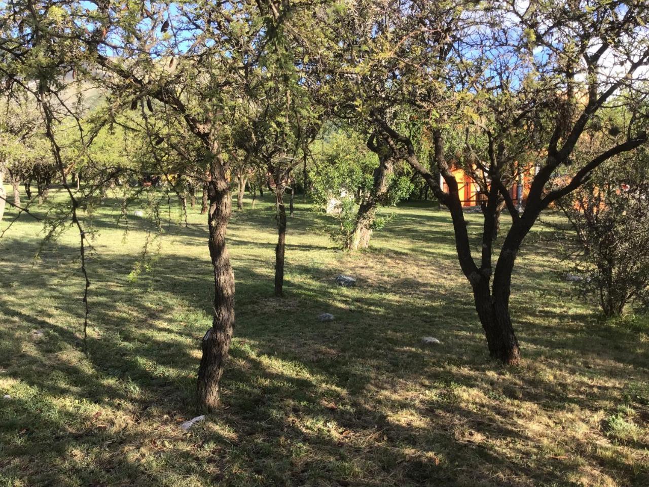 Cabanas Chacras Del Arroyo Vidal Carpintería 외부 사진