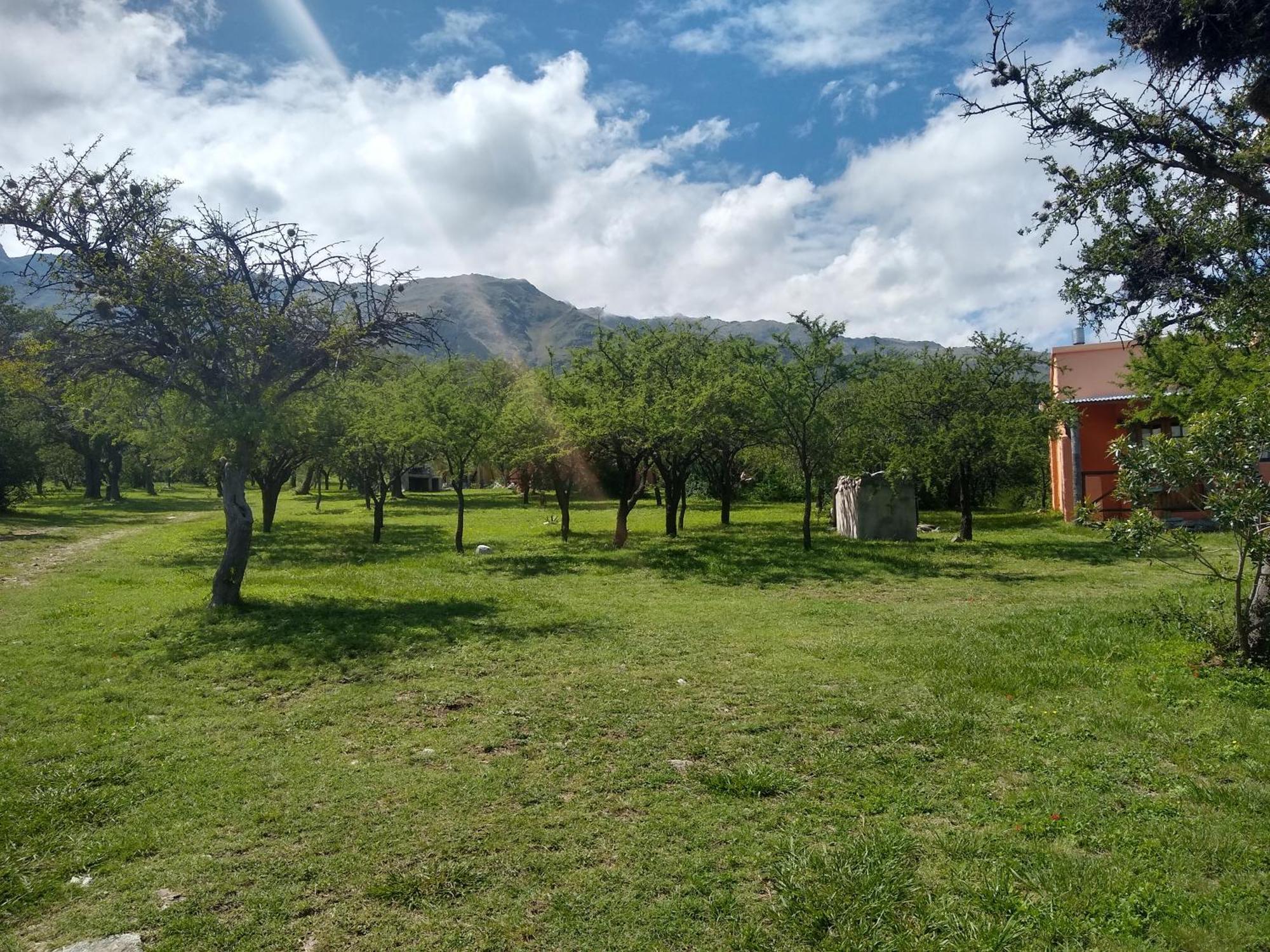 Cabanas Chacras Del Arroyo Vidal Carpintería 외부 사진